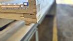 Secador Massas Italvisa  E50