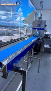 Extrusora mono rosca em inox de biscoitos doces com cortador automático e esteira Raffmaq