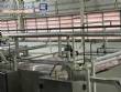 Linha completa para fabricao de massas longas espaguete spaguetti  Forteusi 2000 kg